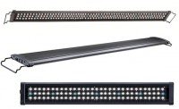 Power LED 300B